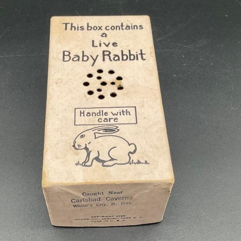Vintage Adams Co Carlsbad Caves Rabbit Gag Box 1940s‎ Novelty Souvenir